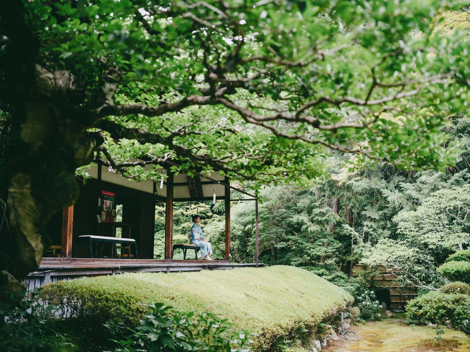 京都寺院的安靜，不是「空」